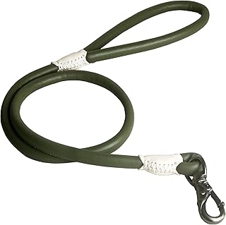 Tellpet Pu Leather Dog Leash for Small Dogs, Superiority Quality Buckle and Leather Cat leashes, 4 Foot, Olive Green