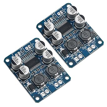 2Pcs TPA3118 Single Channel Digital Audio Power Amplifier Board Module 1X60W DC 12V-24V Converter for Audio System DIY Speakers
