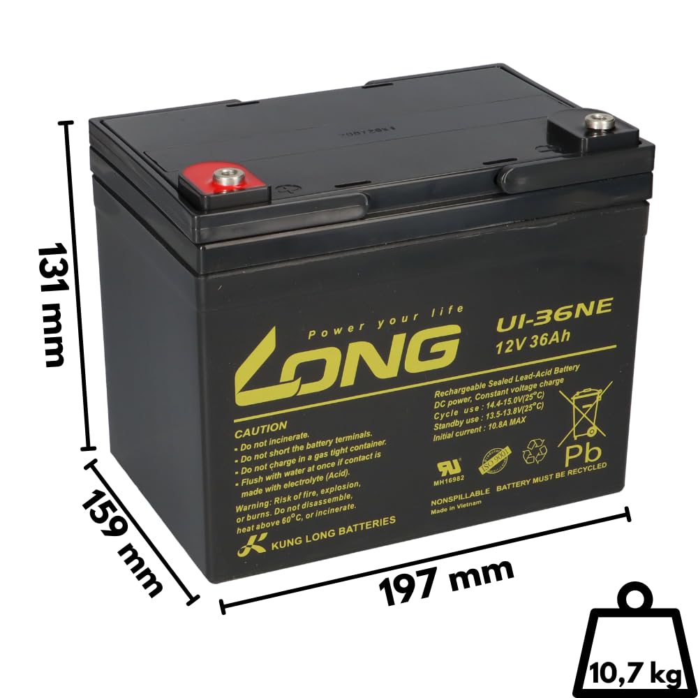 Batería de repuesto para Invacare Butler 2 x 12 V (24 V) 36 Ah Ciclos Resistente AGM – Plomo – Larga duración – No requiere mantenimiento