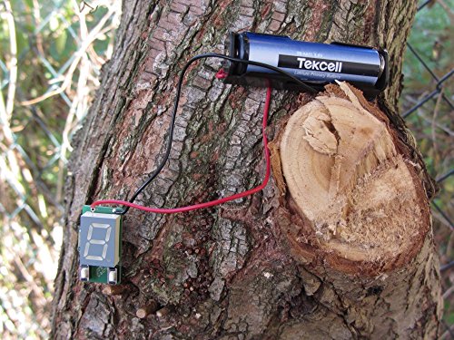 NovaCache 7 Segmentanzeige - Magnetauslösung - PET (Grün) Cover