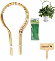 Amazon.com : 4 Pack Min Bamboo Trellis -16 inch Ring Shaped