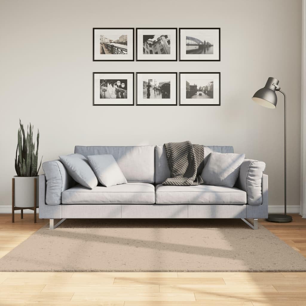 Tapis poils courts doux lavable sable 160x160 pour salon et chambre