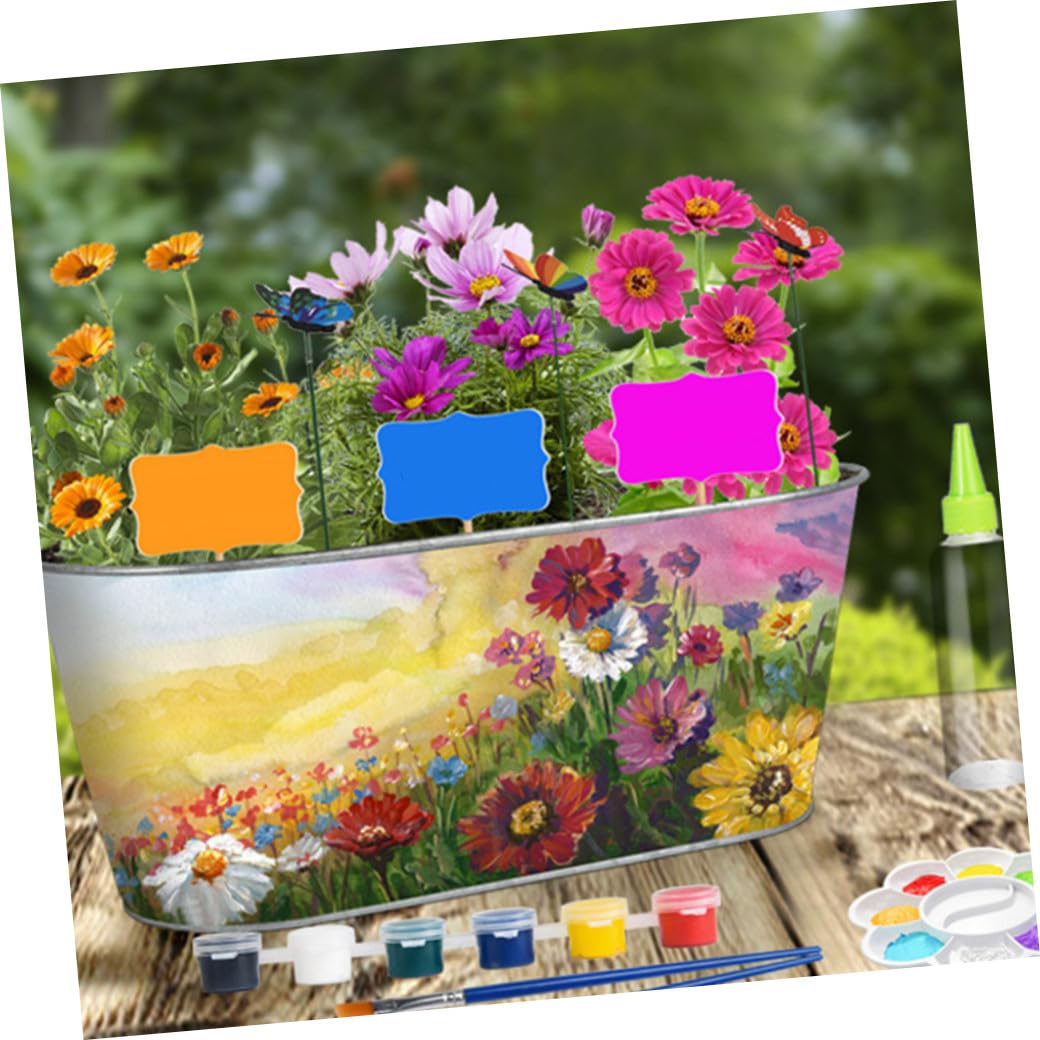 Maceta de Hierro Enseña Botánica y Creatividad para Niños Kit de Jardinería para Plantar Hierbas Aromáticas y Adecuado para DIY y Entretenimiento Familiar DIY Entretenimiento Familiar