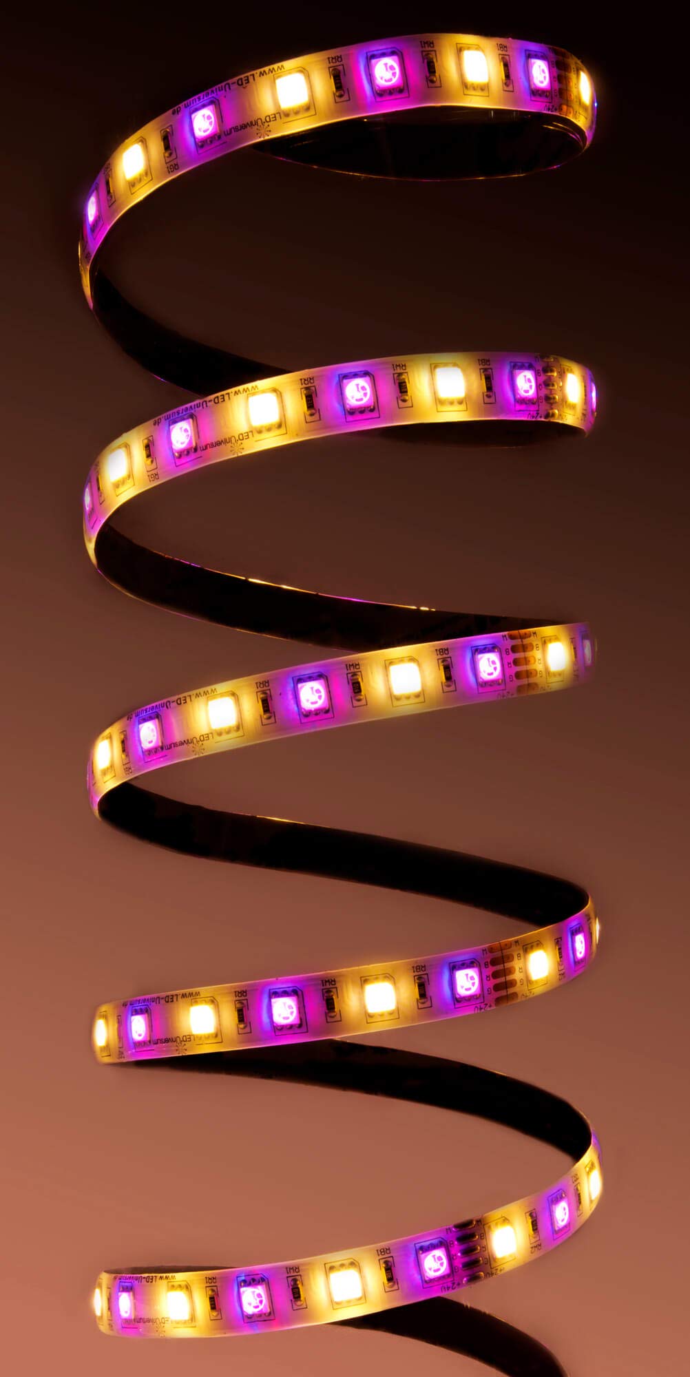 LED Universum RGBW 5050 - Tira de Luces LED (24 V, RGB-WW, IP65, 2 x 30 LED/m)