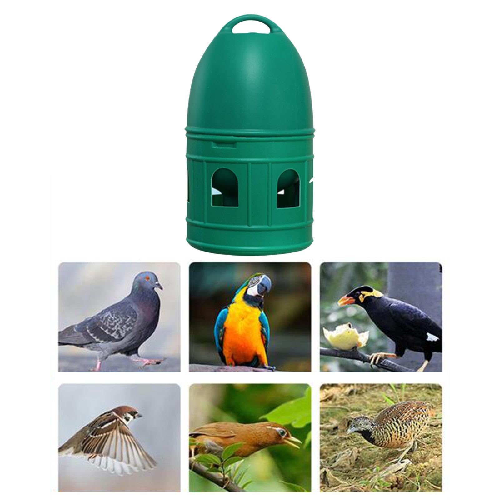 predolo Abbeveratoio per Uccelli/Anatra Pollo Quaglia Distributore d'Acqua Alimentatore Automatico con Manico sospeso/Abbeveratoio di Grande capacità, Verde 3L