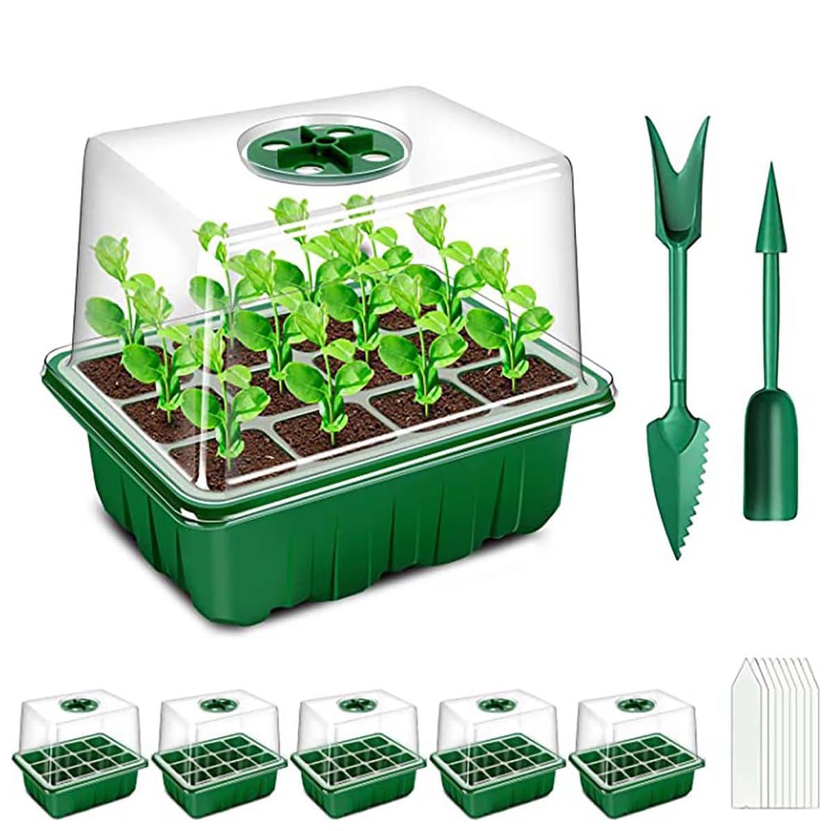 Propagateur de graines pour rebord de fenêtre, mini serre d'intérieur Namvo 5 bacs