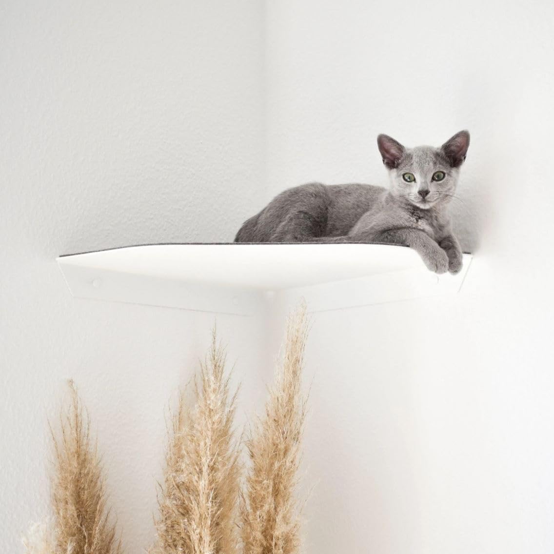 ChapoNero - Tumbona para gatos y escaleras de escalada con revestimiento de fieltro para techos de pared, tumbona de pared para gatos, manta de pared para gatos, para pared de escalada, estantería