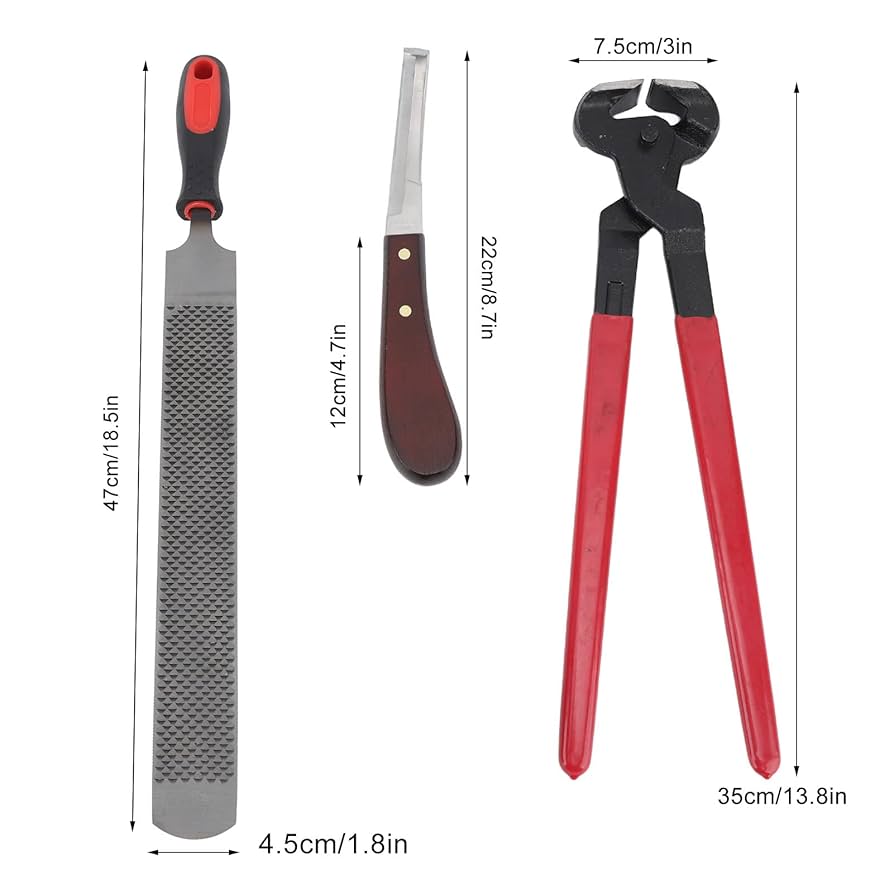 【非売品】「装蹄の原則・Ⅱ　図説・装蹄の理論と技術」社団法人 日本装蹄師会 非売品】「装蹄の原則・Ⅱ 図説・装蹄の理論と技術」社団法人 日本