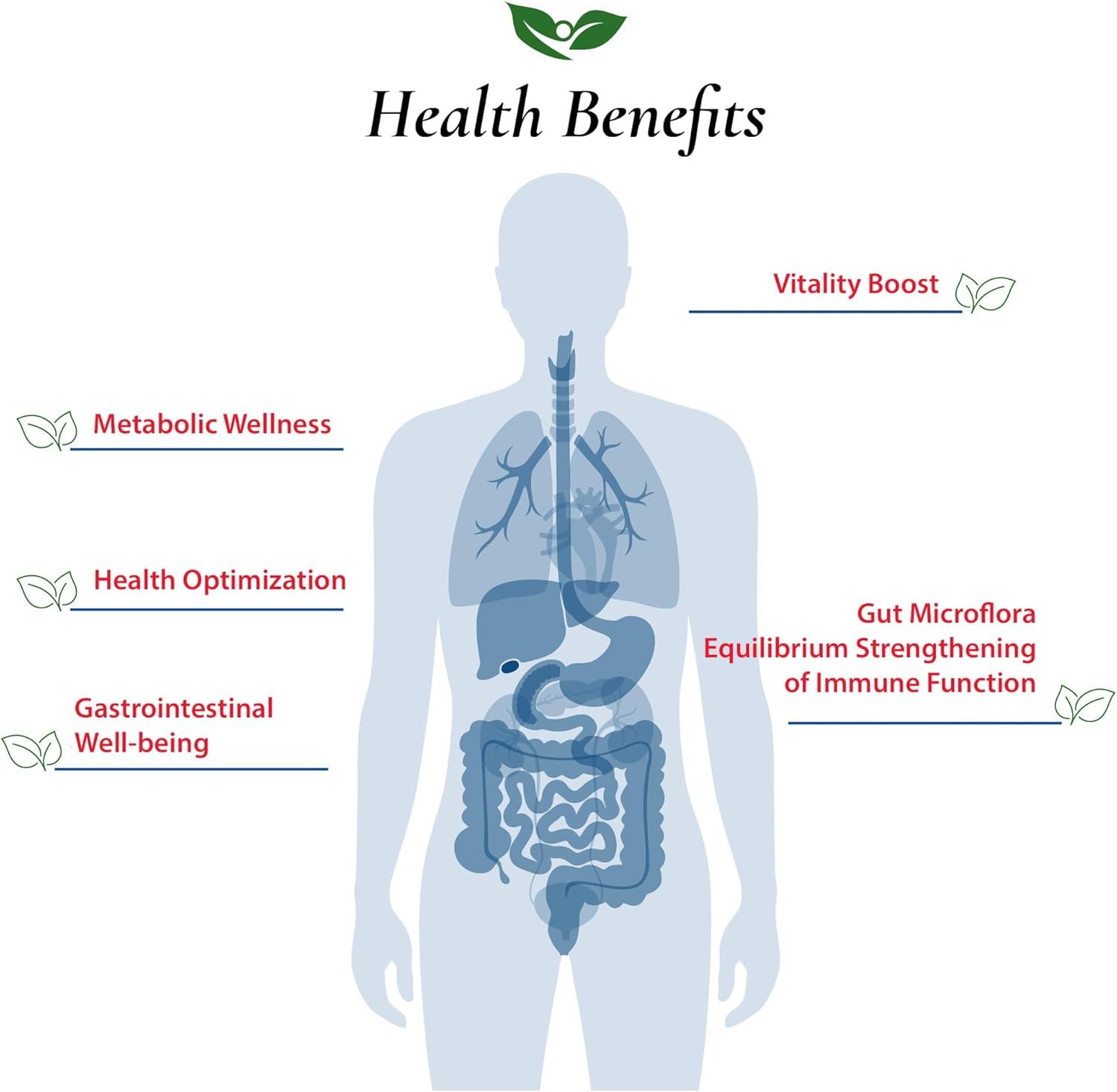 Foods For Gut Lactobacillus Casei Probiotic Powder 300 Billion cfu's | Made in USA | No Additives | Digestive & Immune Support | High Potency | L. Casei | 30 Grams (1.05 Oz)