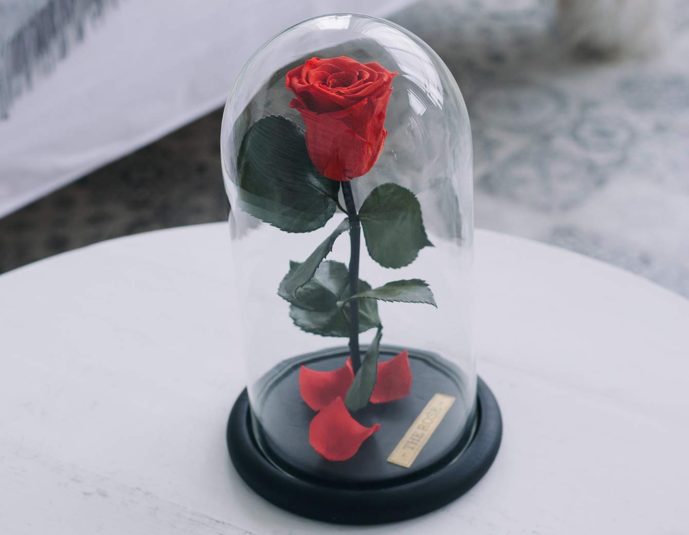 Flores Preservadas De San Valentín, Rosas En Cúpula De Cristal Iluminadas, Rosa Eterna Encantada Preservada Para Siempre Con Tarjeta De Regalo