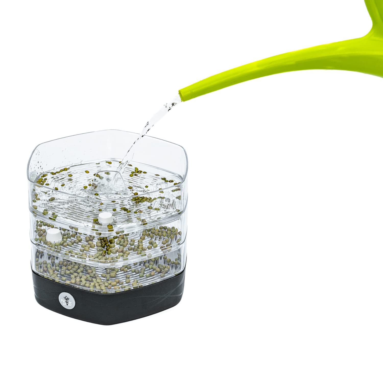 Zestaw Tac do Kiełkowania z 3 Poziomami, ø 17 cm - Wieża do Kiełków, Rzeżuchy, Mikrogreenów - Designerskie Sito z Wysokiej Jakości Tworzywa Sztucznego (Antracyt)