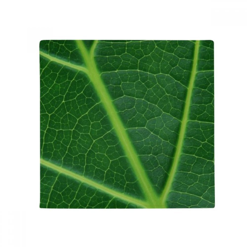 Tapis de sol carré vert foncé pour salon, cuisine et salle de bain 50X50cm