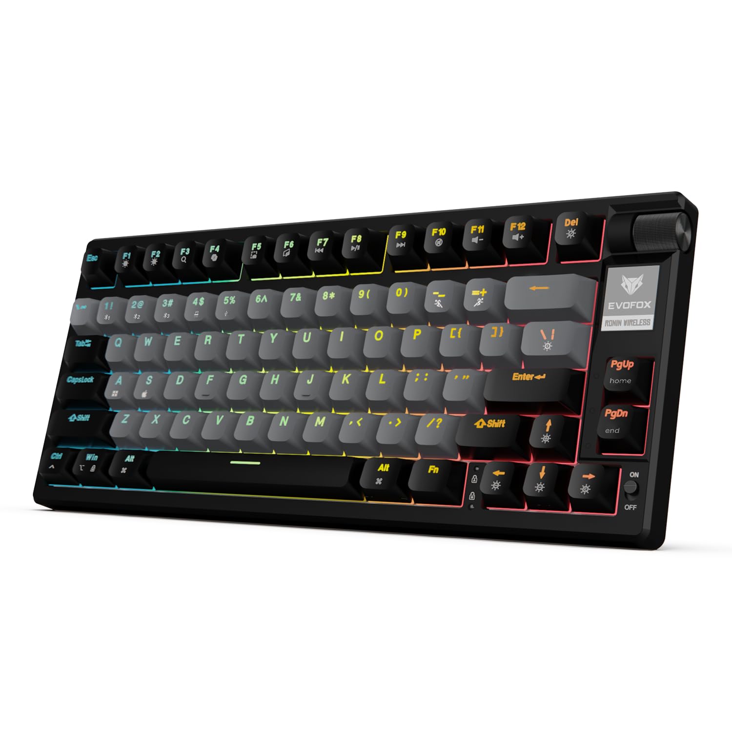 EvoFox Ronin Wireless TKL Mechanical Keyboard (BT+2.4GHz+Wired) | Outemu Red Switches, Gasket Structure, Per-Key RGB, 1000Hz, nKey Rollover, Volume Controller | Windows Software, On-board Memory-image-37