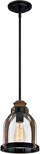 Westinghouse Lighting 6356300 Cindy Mini colgante, 1 luz, bronce aceitado, bronce aceitado