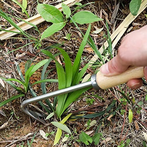 Foto von ENLACE Unkrautstecher Edelstahl Garten Manueller Weeder Wurzeljäter Gartengerät,Unkrautjäter mit Holzgriff,Wurzeljäter Unkrautgabel für Garten zum Graben, Umpflanzen, Jäten