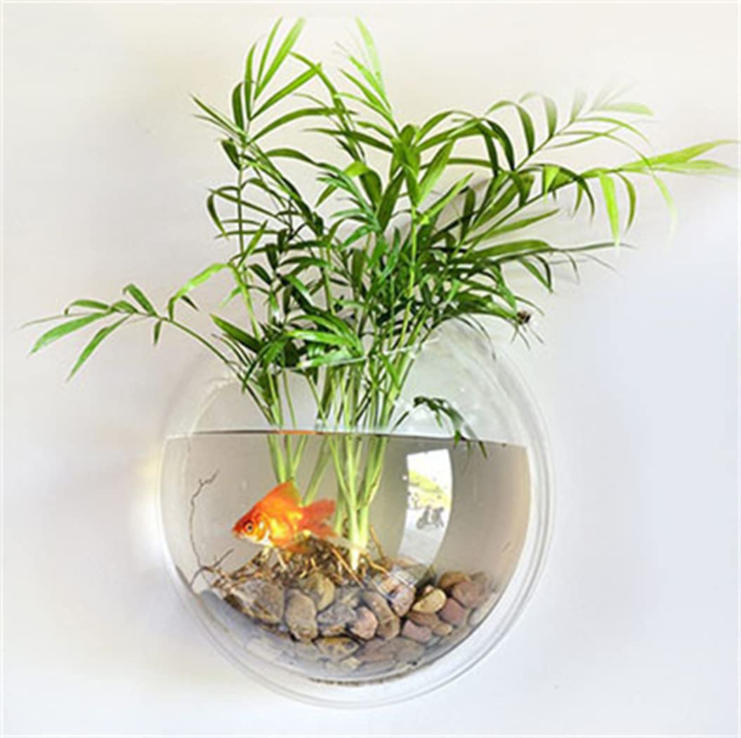 Amazon | 金魚鉢 水槽 壁掛け水槽 花瓶 半球型 アクリルフィッシュ