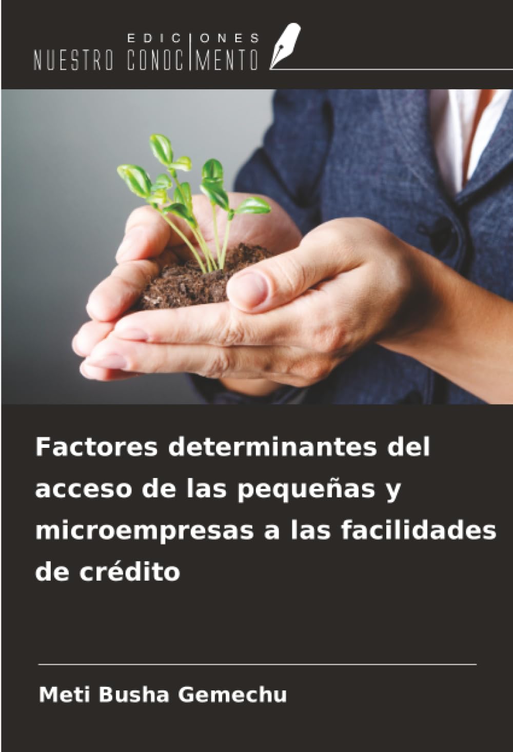 Factores determinantes del acceso de las pequeñas y microempresas a las facilidades de crédito