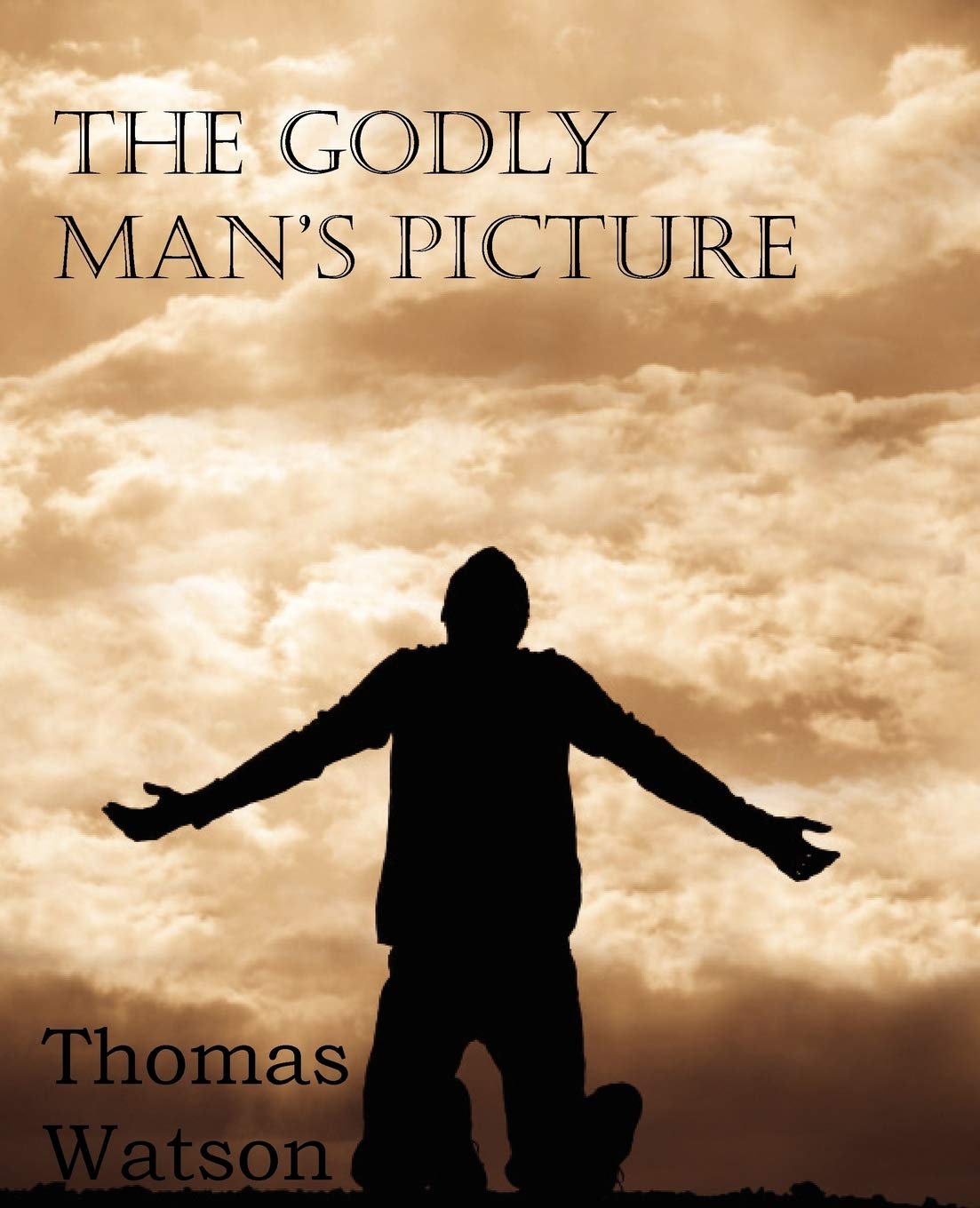 The Godly Man's Picture (Vintage Puritan)
