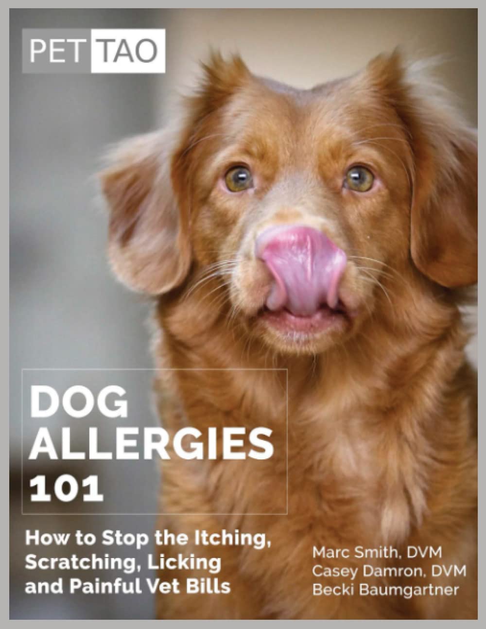 Dog Allergies 101: How to Stop the Itching, Scratching, and Painful Vet Bills