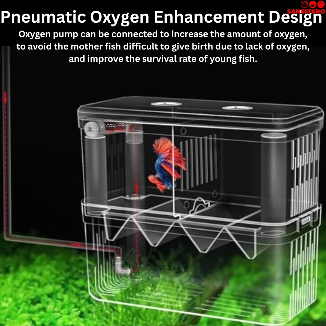 Sansefero Double Deck Isolation Breeding Box for Aquarium Self Floating Multifunctional Isolation Acrylic Hatchery Incubator with Low Deck Seperating Small Fish (M) 4