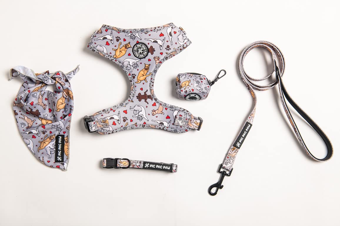 PIC PAC PAW- Doga Collection- Adjustable Harness with Leash, Collar, Bandana and Poop Bag Dispensers for Small, Medium and Large Dogs (M)