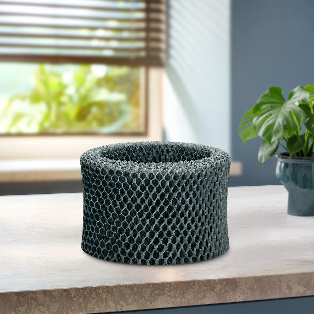 Philips FY2401/30 Filtro di Umidificazione Compatibile con Umidificatori d'Aria Philips HU4803 e HU4801