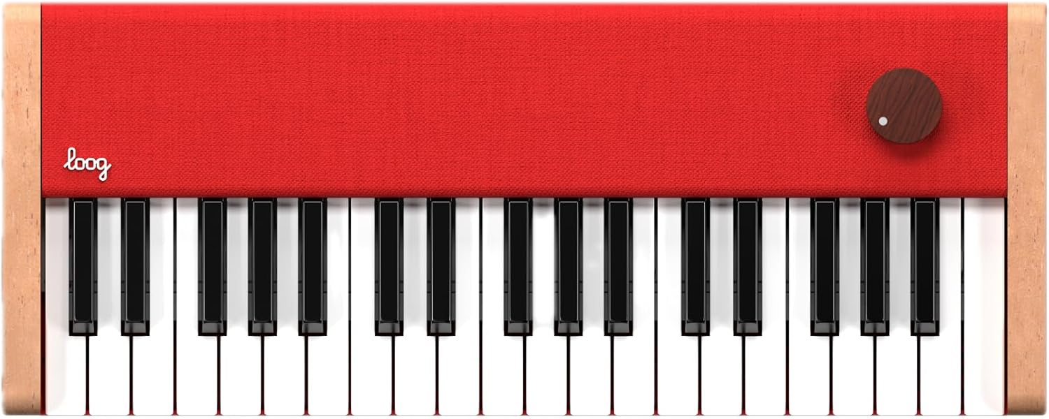 Loog digital piano - portable keyboard for beginners with musician grade sound, MIDI over USB-C rechargeable musical educational instrument Loog piano