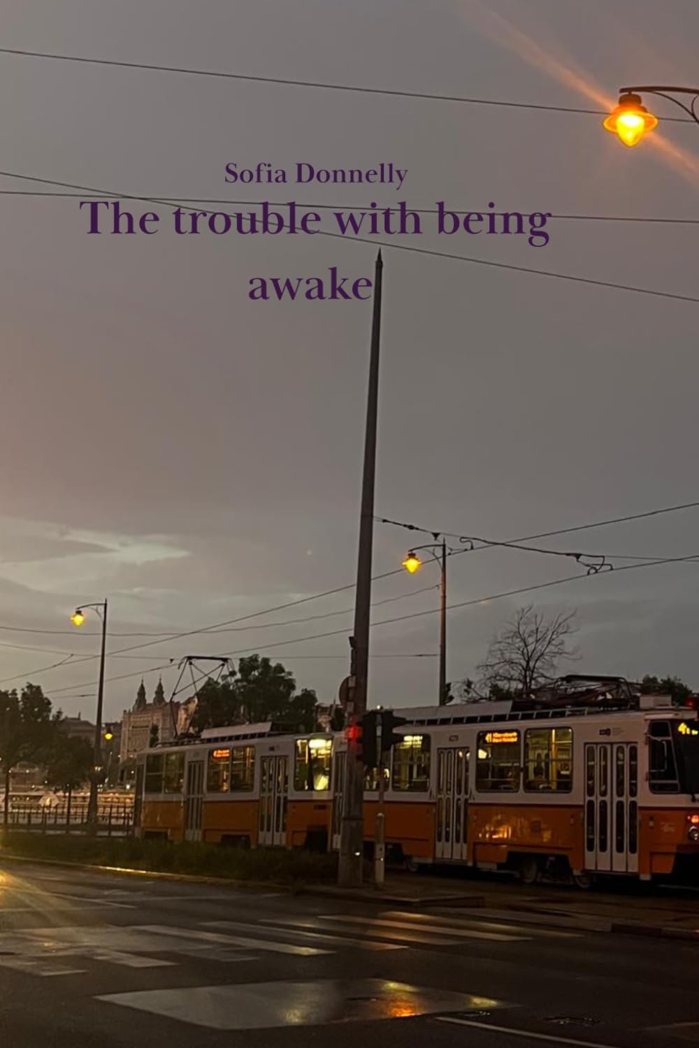 The trouble with being awake
