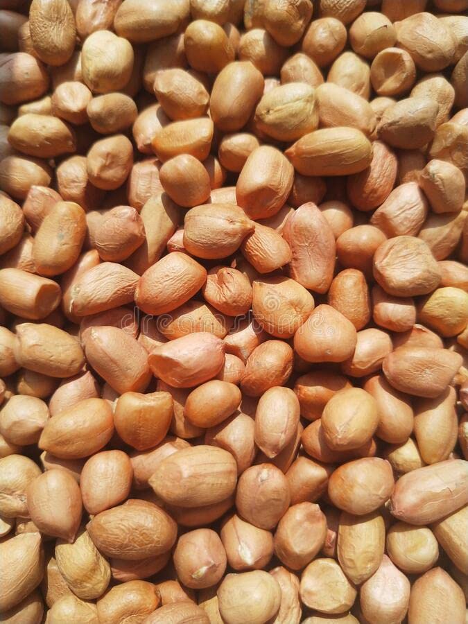 ओबराय Peanut Birds Treat/ 3 किलोग्राम Bird Food /मूंगफली /3000 Grams(3KG) for Birds/Jays/Doves/Pigeons Turkeys/Pheasants/QuailvCardinals. Chickadees. Crows. Grackles.. Nuthatches. Titmice (B0CR6THD64) Amazon Price History, Amazon Price Tracker