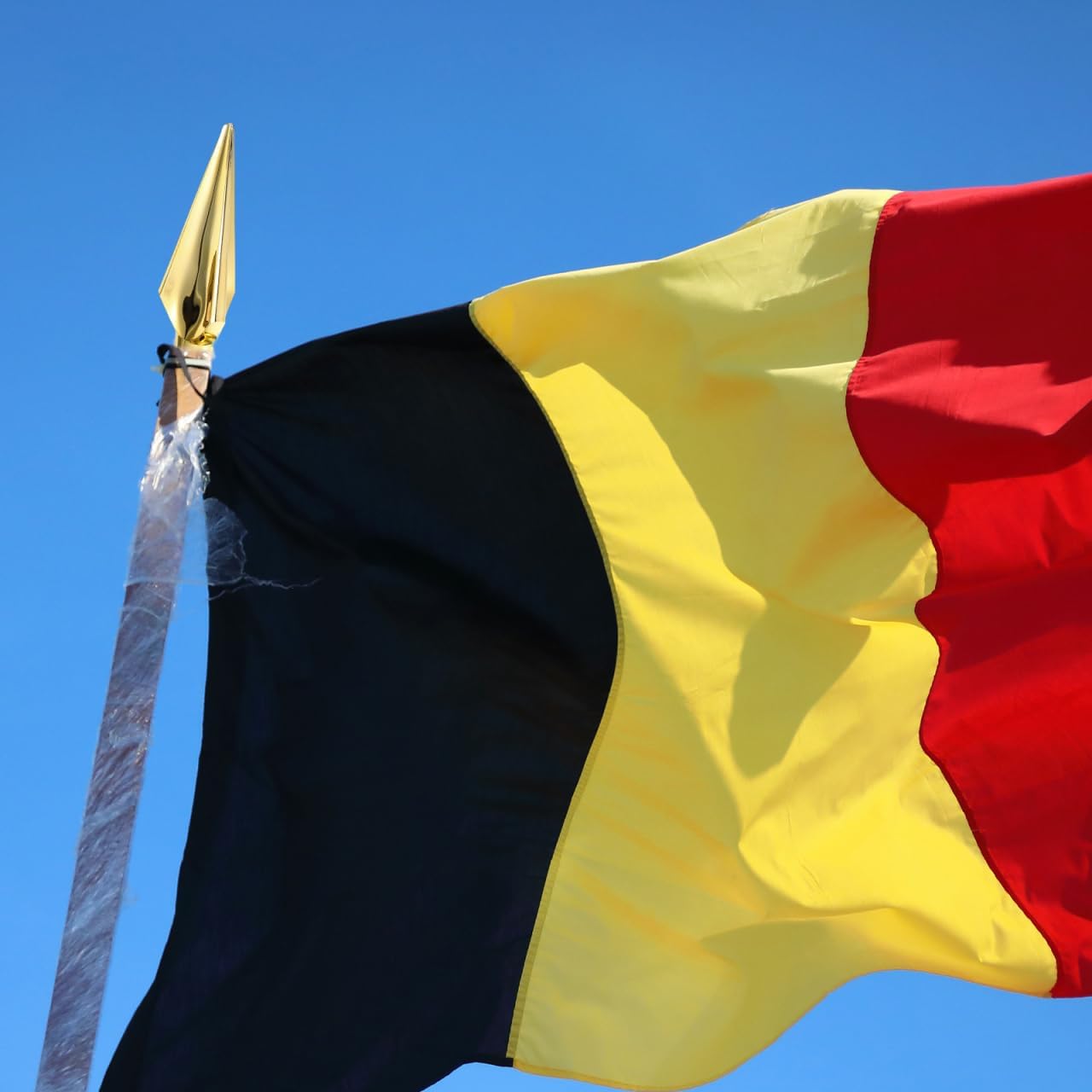 Veemoon Golden Flag Pole Topper Plastic Spear Flag Pole Topper Decorative Flagpole Top Ornaments Flagpole Finial Head Decoration for Office Yard Conference Garden Indoor and Outdoor Parade, 8.3Inch - Image 9