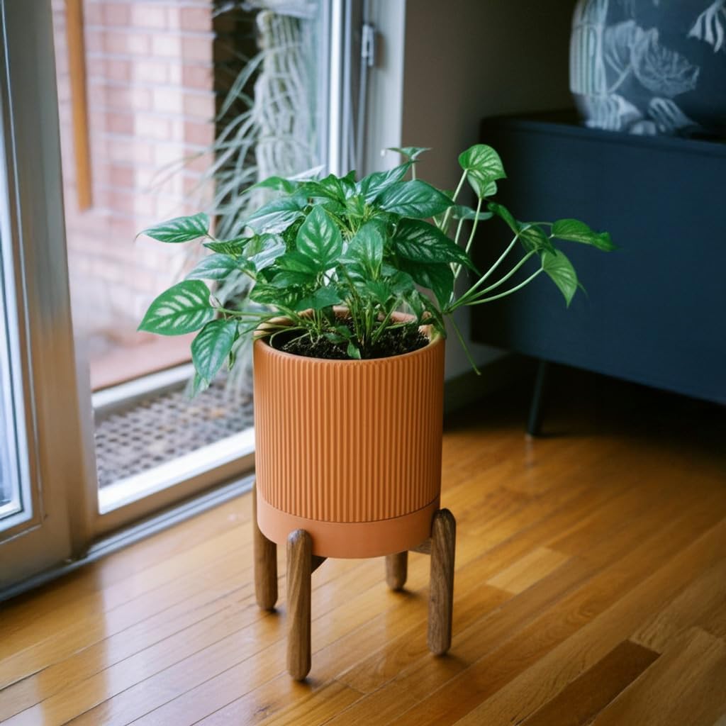 Large Terracotta Pots, 8 Inch Clay Planter Pots with Drainage Hole & Saucer (with Stand), Garden Planters for Indoor/Ourdoor Plants, Cactus & Snake Plant
