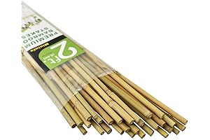 Mininfa 30 Pack 2ft Eco Friendly Bamboo Stakes