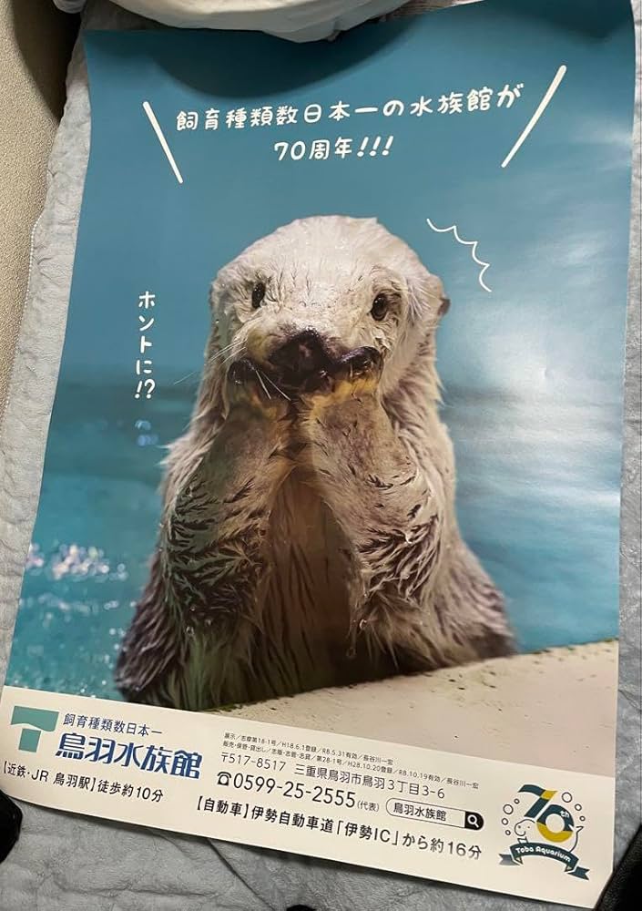 鳥羽水族館⭐️70周年⭐️ポスター⭐️ラッコ Amazon.co.jp: 鳥羽水族館70周年ポスターラッコ : おもちゃ
