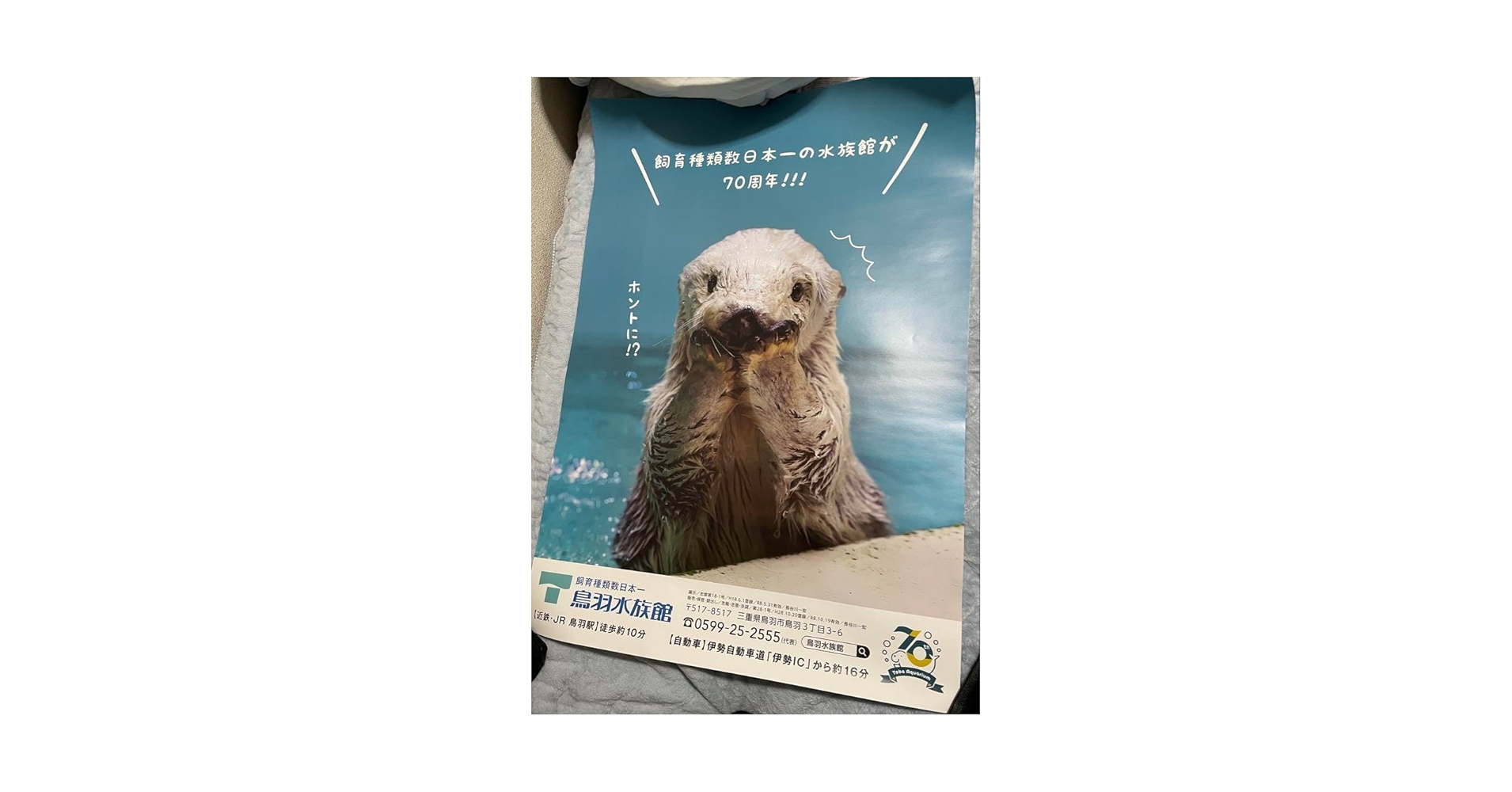 鳥羽水族館⭐️70周年⭐️ポスター⭐️ラッコ 鳥羽水族館⭐️70周年⭐️ポスター⭐️ラッコ 鳥羽水族館 70周年