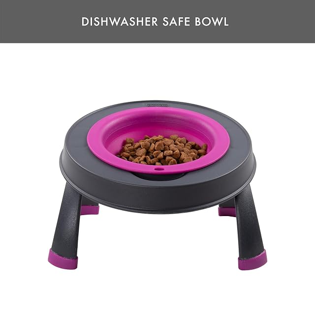 Foto 5 de 7 de Dexas Comedero Elevado para Mascotas, con Capacidad para 4 Tazas, Color Fucsia