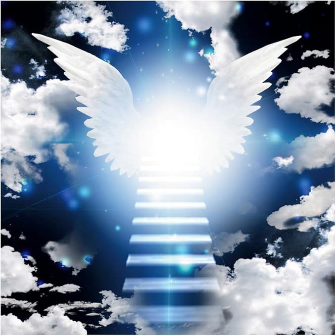 Amazon.com : DORCEV 7x7ft Heaven Angel Wing Backdrop dor Baby Shower