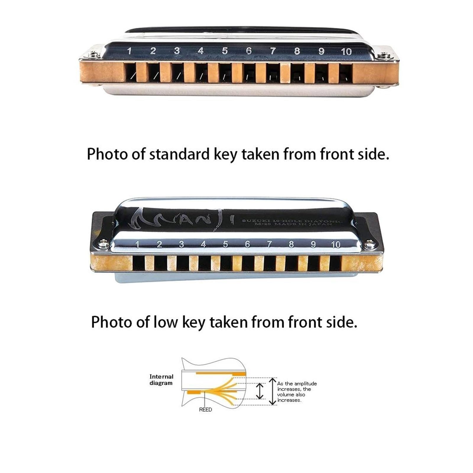 Harmonijka Ustna 10 Otworów Harmonijka Diatoniczna Blues Harp Professionals Armonica Organ Ustny(F Tone)