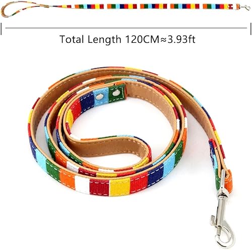 Miniatura 4 de Collar de perro XS, collar de cuero para perro, juego de correa y collar personalizado, para pequeños, seguro y cómodo (XL)
