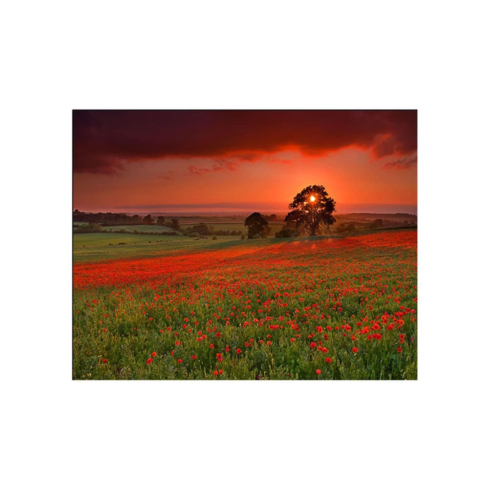 Peinture diamant 5D arbre coucher de soleil grand format pour calmer le stress et décorer