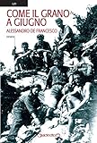 Giraldi Editore