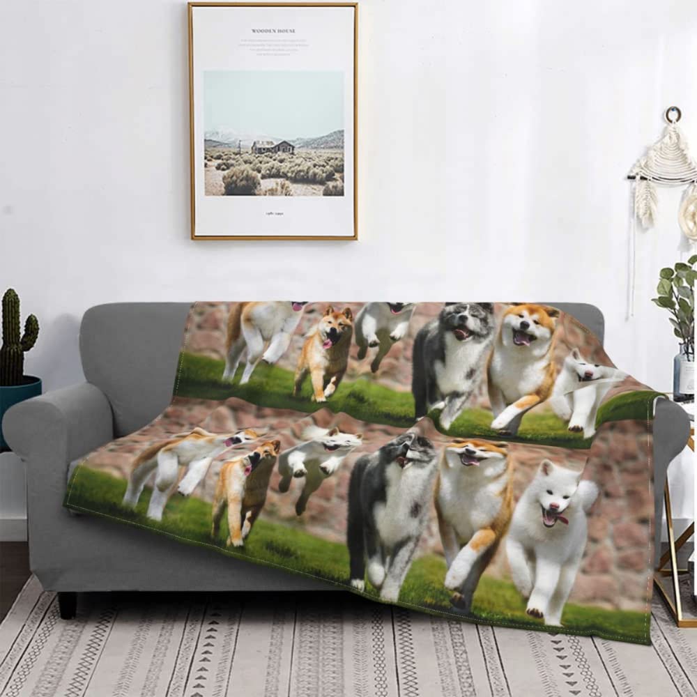 Couvertures en peluche personnalisées pour chiots et draps de lit