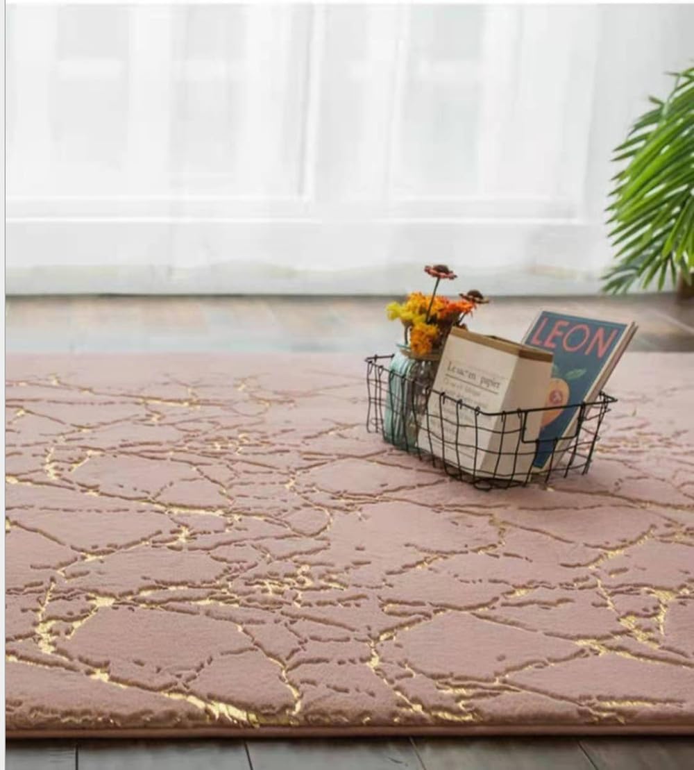 Velvet Bronzing Living Room Carpet Bedroom Bedside Carpets Home Decor Plush Rug Anti-Skid Water Absorption Mat,E,200X200CM