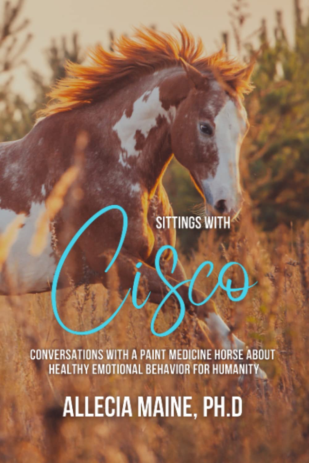 Sittings with Cisco: Conversations With A Paint Medicine Horse About Healthy Emotional Behavior For Humanity      Paperback – March 28, 2023
