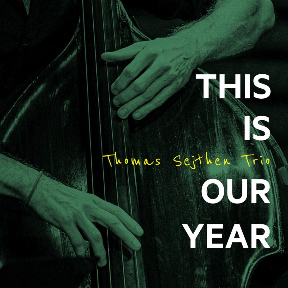 Thomas Sejthen Trio