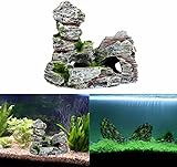 WANGZAIZAI B0DL4YNTS1 lato 4