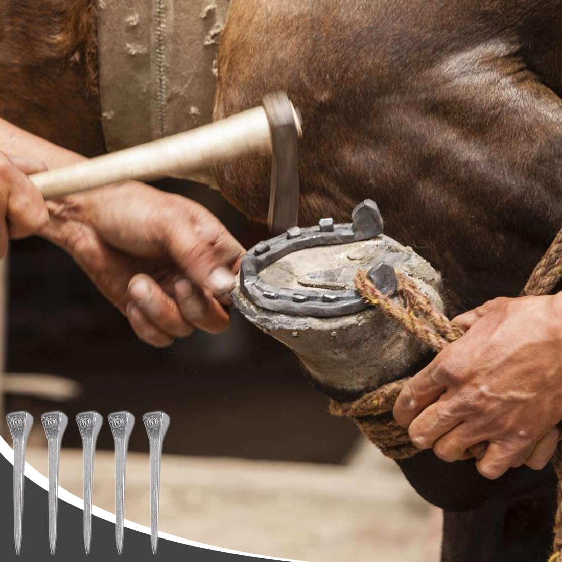50 pcs Clavo de Herradura Clavos De Acero De Caballo 5.1cm Caballo Clavo de Pezuña para Entrenamiento de Caballos Deportes Ecuestre para Vidrio de Plomo Fijo