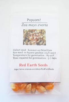 50 Pop Corn - Zea mays everta kernels Organically Grown