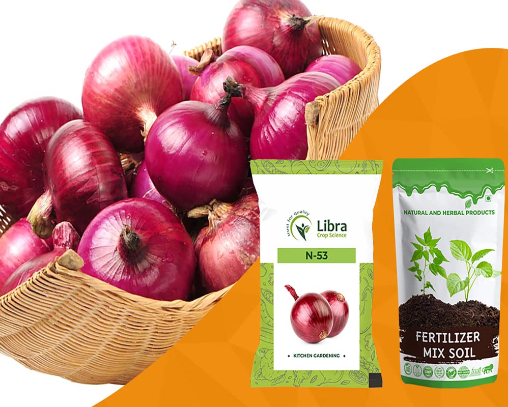 Onion Seeds for Planting | Farming | Home | Garden | Kitchen | Vegetable | Hybrid | Terrace | Balcony | Eating | Pyaj | Red Onion | Gold Onion | Pink Onion | Dungali - 5 Gram : 1207 Seed (N53) (B0B33HJQHC) Amazon Price History, Amazon Price Tracker
