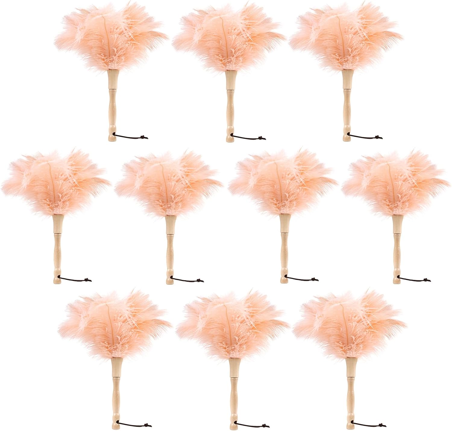 Ostrich Feather Duster 12 Inch Handheld Duster Supplies, Wooden Handle Feather Duster for Cleaning Keyboard Home Car Office (Champagne 10Pcs)