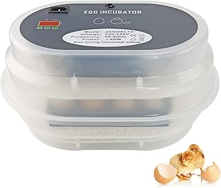 TAIMIKO Egg Incubator Automatic Egg Incubator 12 Eggs Poultry Hatcher Auto Temperature Control Easy to Observe for Chickens Ducks Goose Birds Family Use